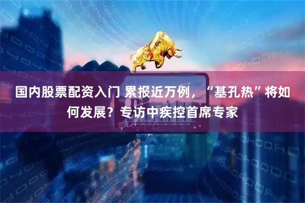 国内股票配资入门 累报近万例，“基孔热”将如何发展？专访中疾控首席专家