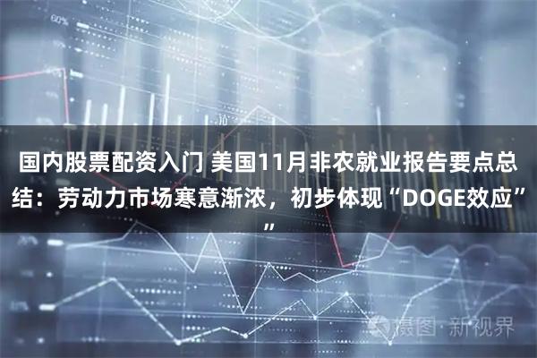 国内股票配资入门 美国11月非农就业报告要点总结：劳动力市场寒意渐浓，初步体现“DOGE效应”