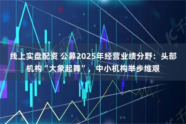 线上实盘配资 公募2025年经营业绩分野：头部机构“大象起舞”，中小机构举步维艰