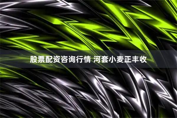股票配资咨询行情 河套小麦正丰收